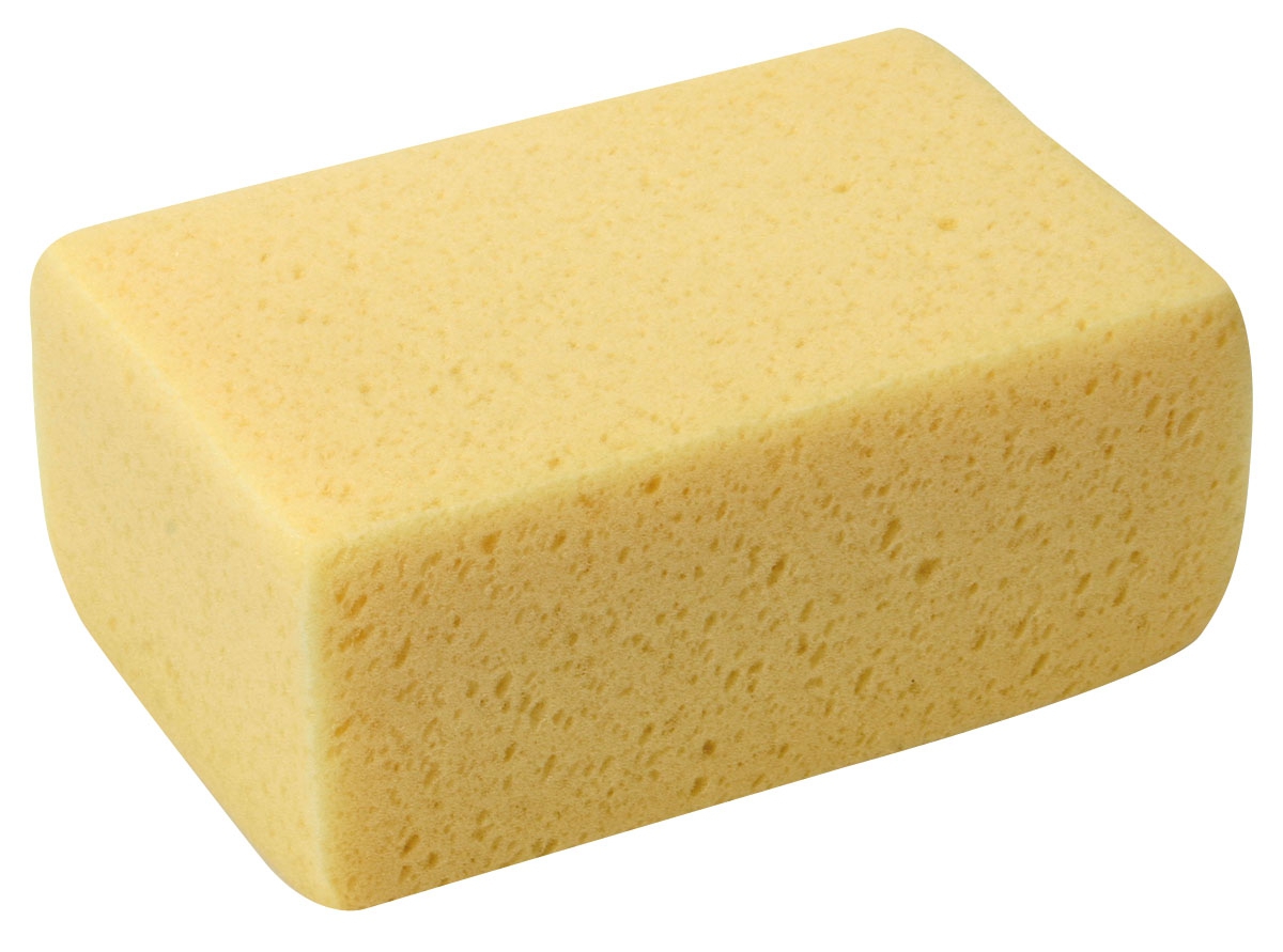 Sponge Hydro